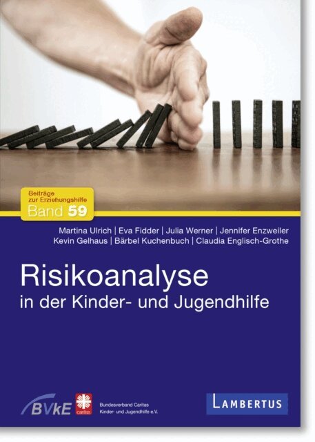 Claudia Englisch-Grothe, Barbel Kuchenbuch, Kevin Gelhaus, Jennifer Enzweiler, Julia Werner, Eva Fidder, Martina Ulrich - Risikoanalyse in der Kinder- und Jugendhilfe, E-bok