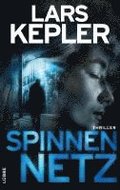 Spinnennetz