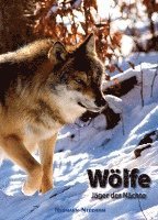 Wölfe, Inbunden
