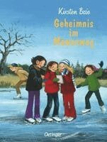 Kirsten Boie - Geheimnis im Möwenweg, Inbunden