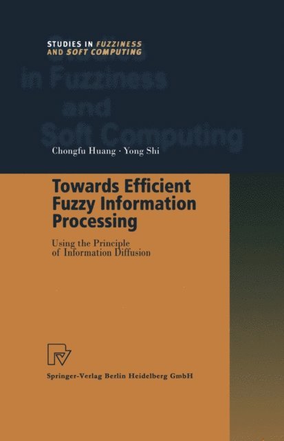 Yong Shi, Chongfu Huang - Towards Efficient Fuzzy Information Processing, E-bok