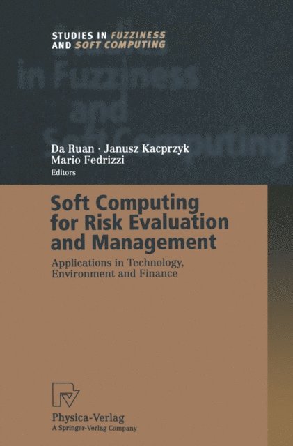 Mario Fedrizzi, Da Ruan - Soft Computing for Risk Evaluation and Management, E-bok