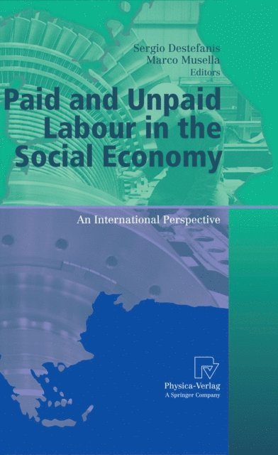 Marco Musella, Sergio Destefanis - Paid and Unpaid Labour in the Social Economy, E-bok
