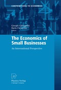 Economics of Small Businesses