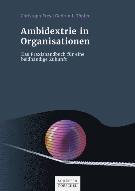 Gudrun L. Topfer, Christoph Frey - Ambidextrie in Organisationen, E-bok