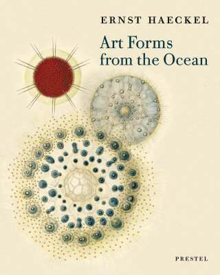 Olaf Breidbach - Art Forms from the Ocean, Häftad