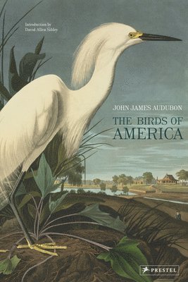 John James Audubon - The Birds of America, Inbunden