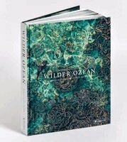 Wilder Ozean