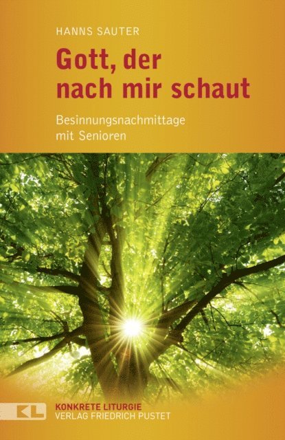 Hanns Sauter - Gott, der nach mir schaut, E-bok