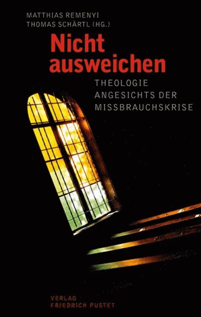 Thomas Schartl, Matthias Remenyi - Nicht ausweichen, E-bok