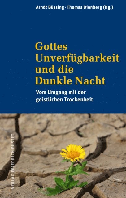 Thomas Dienberg, Arndt Bussing - Gottes Unverfügbarkeit und die Dunkle Nacht, E-bok