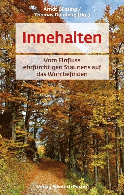 Thomas Dienberg, Arndt Bussing - Innehalten, E-bok