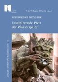 Freiburger Münster - Faszinierende Welt der Wasserspeier