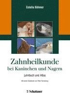 Estella Böhmer - Zahnheilkunde bei Kaninchen und Nagern, Inbunden