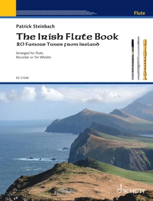 Patrick Steinbach - Irish Flute Book, E-bok