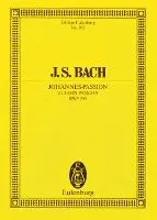 St. John Passion, Bwv 245, Häftad. Tillgänglighet: Lägg i varukorg
