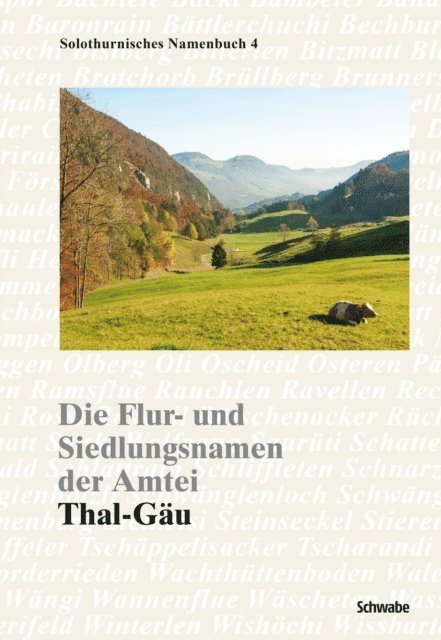 Jacqueline Reber, Beatrice Hofmann-Wiggenhauser - Die Flur- und Siedlungsnamen der Amtei, E-bok