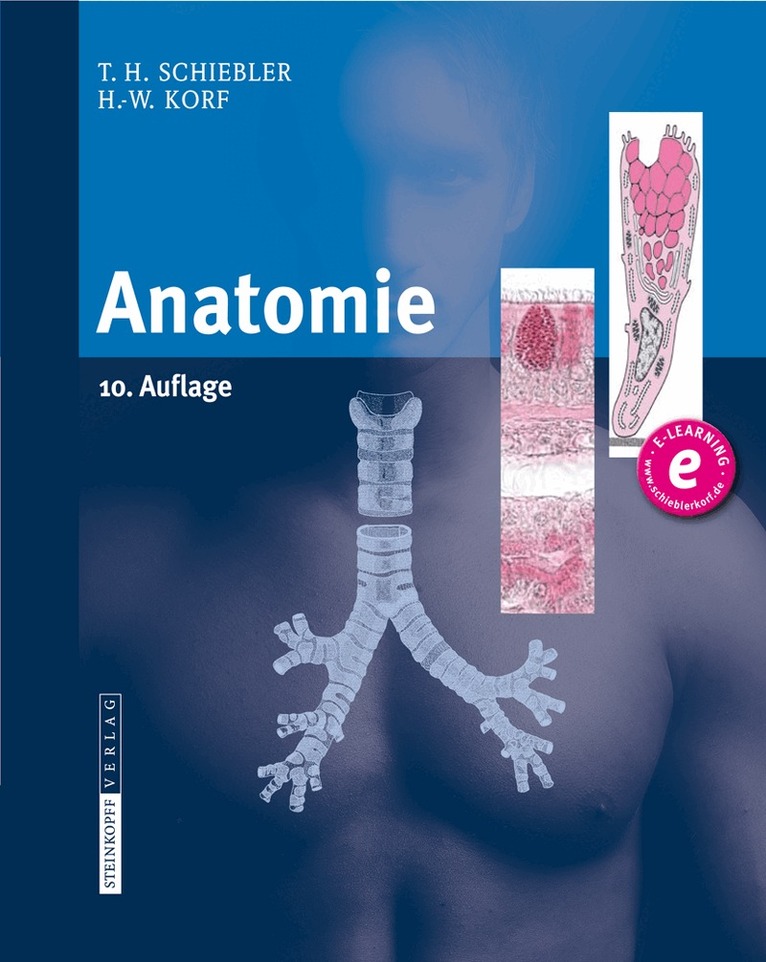 Theodor H. Schiebler, Horst-W. Korf - Anatomie, Inbunden