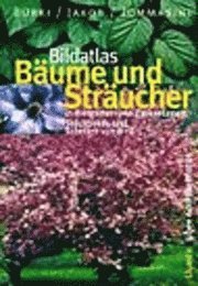 Moritz Bürki, Fritz Jakob, Domenico M. Tommasini - Bildatlas Bäume und Sträucher in Ziergärten und Parkanlagen, Inbunden