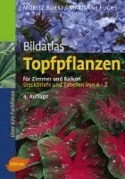 Moritz Bürki, Marianne Fuchs - Bildatlas Topfpflanzen für Zimmer und Balkon, Inbunden