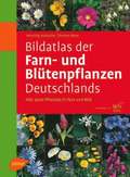 Bildatlas Der Farn- Und Blutenpflanzen Deutschlands