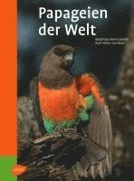 Matthias Reinschmidt - Reinschmidt, M: Papageien der Welt, Inbunden