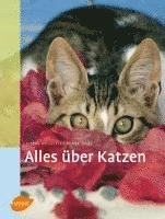Pierre Rousselet-Blanc - Alles über Katzen, Inbunden. Tillgänglighet: Lägg i varukorg