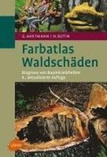 Farbatlas Waldschden