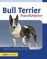 Bethany Gibson - Bull Terrier, Inbunden. Tillgänglighet: Lägg i varukorg