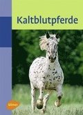 Kaltblutpferde