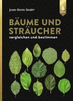 Jean-Denis Godet - Bäume und Sträucher, Inbunden