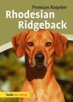 Rhodesian Ridgeback