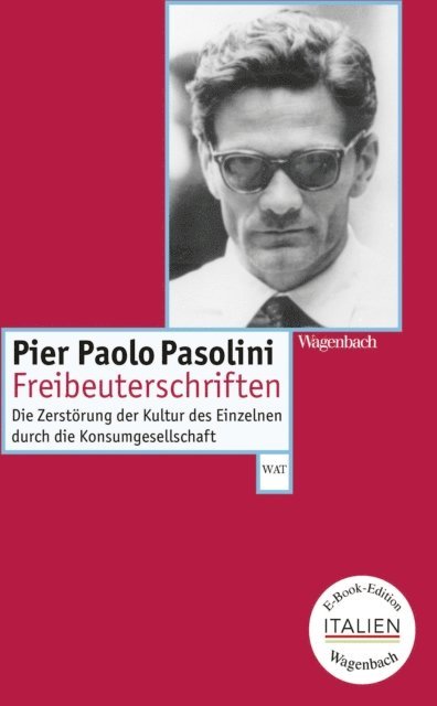 Pier Paolo Pasolini, Peter Kammerer - Freibeuterschriften, E-bok