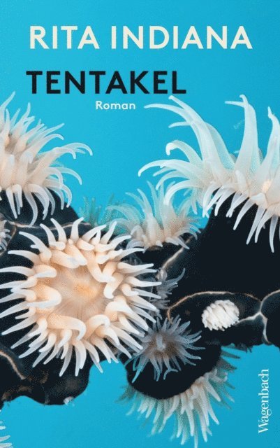 Rita Indiana Hernandez - Tentakel, E-bok