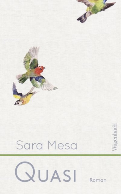 Sara Mesa - Quasi, E-bok