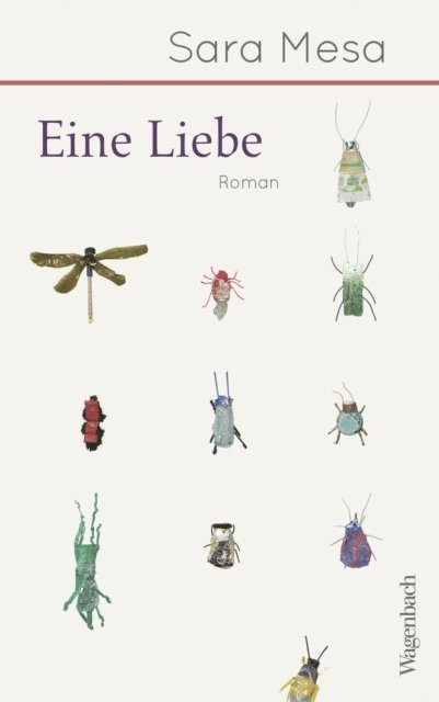 Sara Mesa - Eine Liebe, E-bok