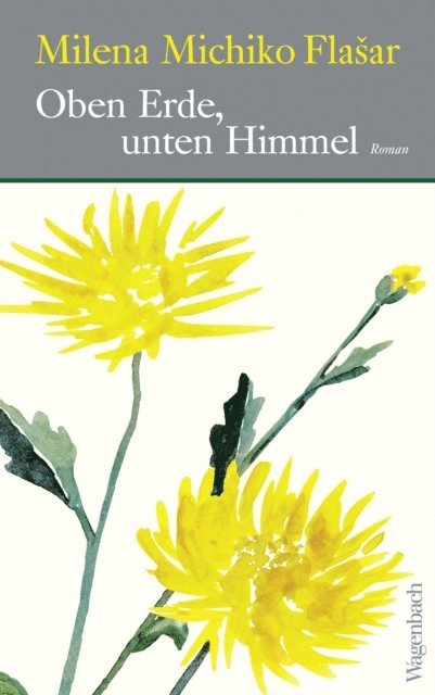 Milena Michiko Flasar - Oben Erde, unten Himmel, E-bok