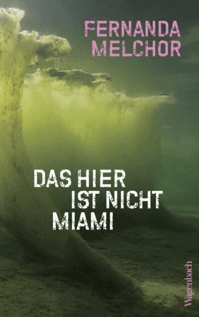 Fernanda Melchor - Das hier ist nicht Miami, E-bok
