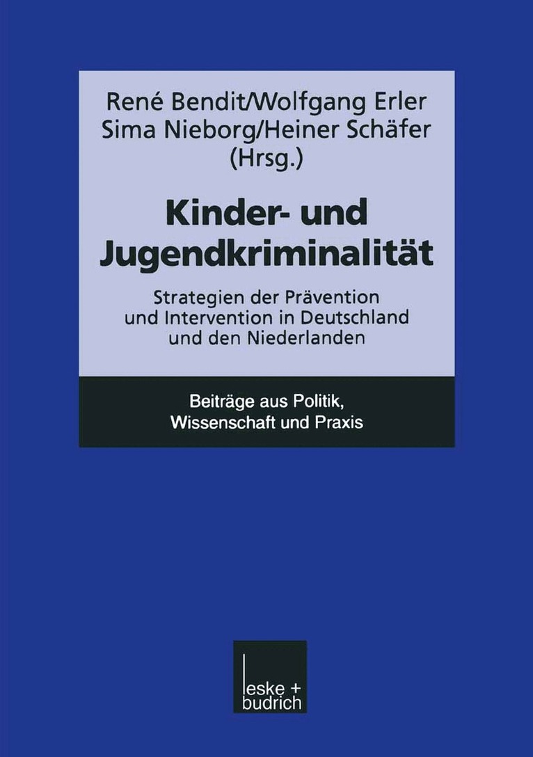 Wolfgang Erler, Sima Nieborg, Heiner Schäfer - Kinder- und Jugendkriminalität, Häftad