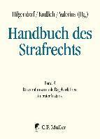 Eric Hilgendorf, Hans Kudlich, Brian Valerius - Handbuch des Strafrechts 08, Inbunden