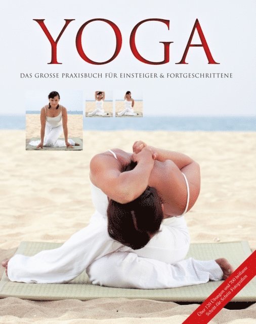 Inge Schops - Yoga, E-bok