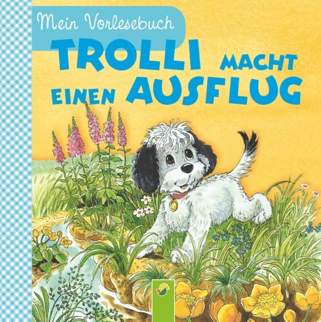 Ingrid Pabst, Anne Suess - Trolli macht einen Ausflug, E-bok