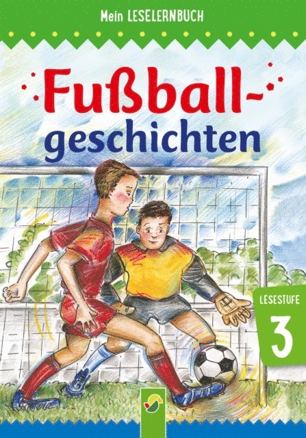 Anke Breitenborn - Fußballgeschichten, E-bok