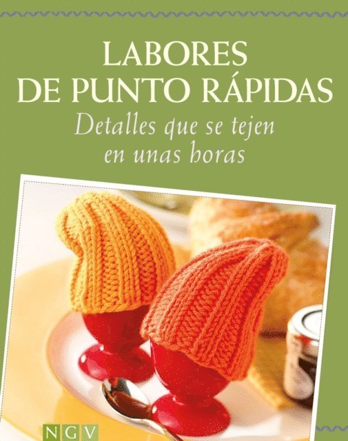 Helene Weinold-Leipold, Elke Hofig, Monika Hoppe, Roswitha Sanchez-Ortega - Labores de punto rápidas, E-bok