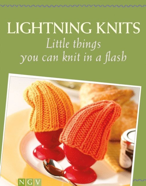 Helene Weinold-Leipold, Elke Hofig, Monika Hoppe, Roswitha Sanchez-Ortega - Lightning Knits, E-bok