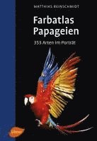 Matthias Reinschmidt - Papageien, Häftad