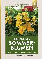 Wolfgang Kawollek - Bildatlas Sommerblumen, Inbunden