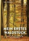 Mein erstes Waldstck