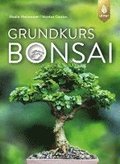 Grundkurs Bonsai