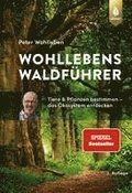 Wohllebens Waldfhrer